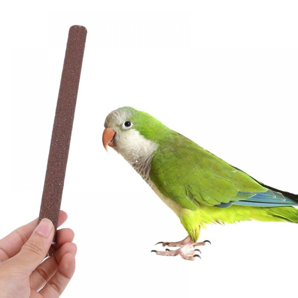 Parrot Stand Stick Bar Paw Grinding Cage Branch Perches Budgie Bird Pet Supplies 