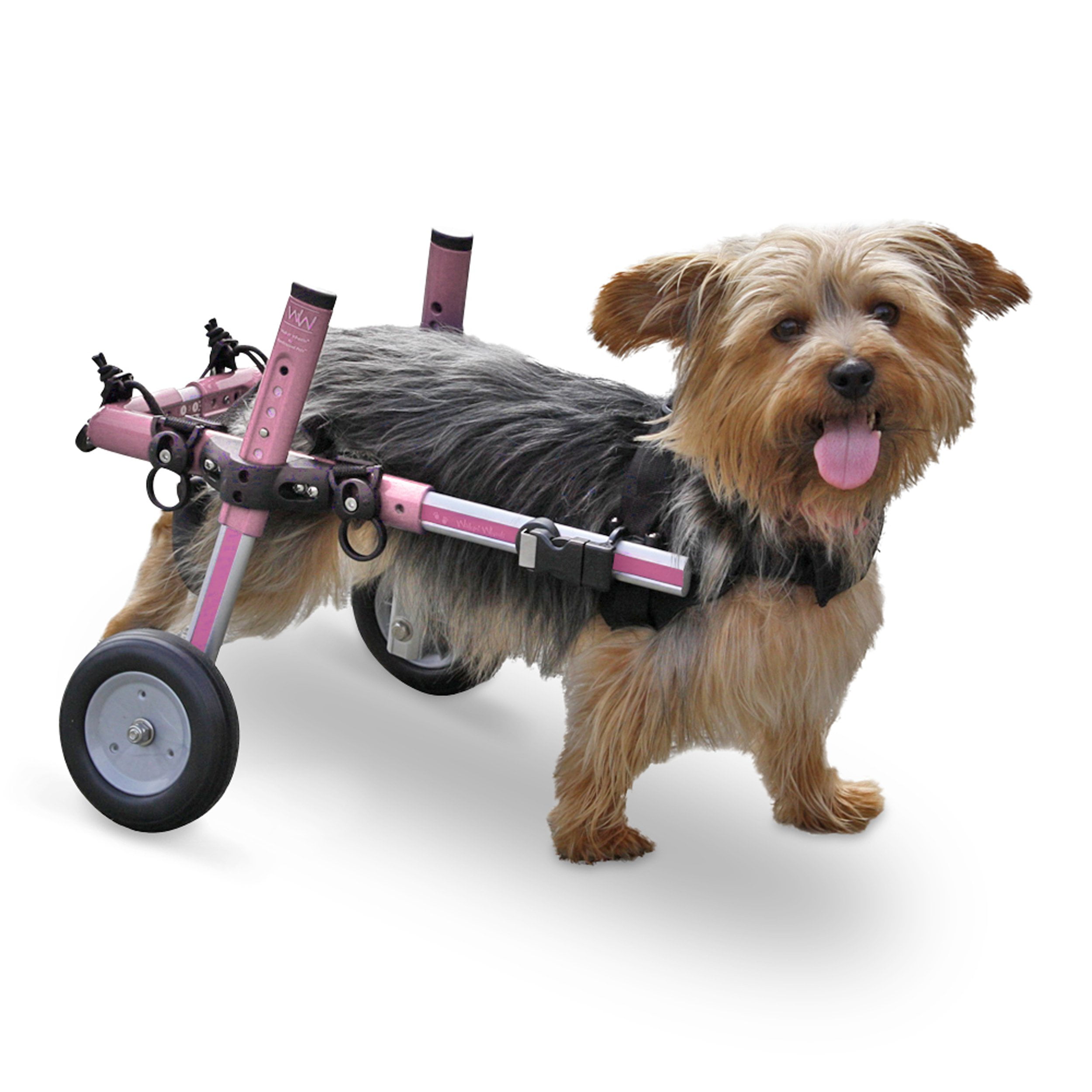 Walkin' Wheels Dog Wheelchair for Small Dogs 1125