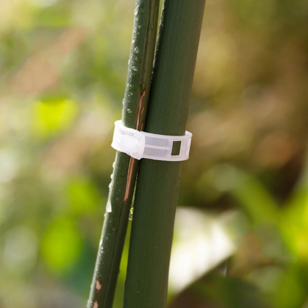 100pcs veggie garden plant support clips for trellis twine greenhouse  X 