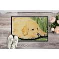 thumbnail image 2 of Carolines Treasures SS8864MAT Golden Retriever Tapis Intérieur Extérieur - 18 x 27 Po., 2 of 4