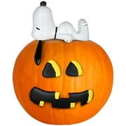 Peanuts Pumpkin Push Ins, Snoopy