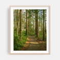thumbnail image 2 of Marsh Edge Trail, Blackwater National Wildlife Refuge 01 - Maryland Photography Unframed Wall Art Print 11 x 14 inches, 2 of 13