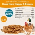 thumbnail image 3 of Gusanos de harina deshidratados HATORTOP 2.27 kg sin OGM para gallinas y aves, 3 of 8
