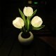 thumbnail image 5 of Lámpara de maceta de tulipán LED, maceta de flores de simulación de tulipán rosa, luz de noche de ambiente LED de cerámica, adornos decorativos, 5 of 6