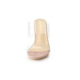 thumbnail image 6 of BLISSFUL STEP Women's Clear Slide Stiletto Heels Open Toe Slip On Sandals Beige 6, 6 of 8