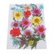thumbnail image 3 of de 25 varias flores secas de natural múltiples Hojas das para uñas Arte Artesanía Jabón hecho a mano Vela Resina Material F Baoblaze Flores secas prensadas naturales, 3 of 8