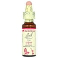 thumbnail image 2 of Bach Original Flower Remedies, Elm, 0.35 fl oz (10 ml), 2 of 5