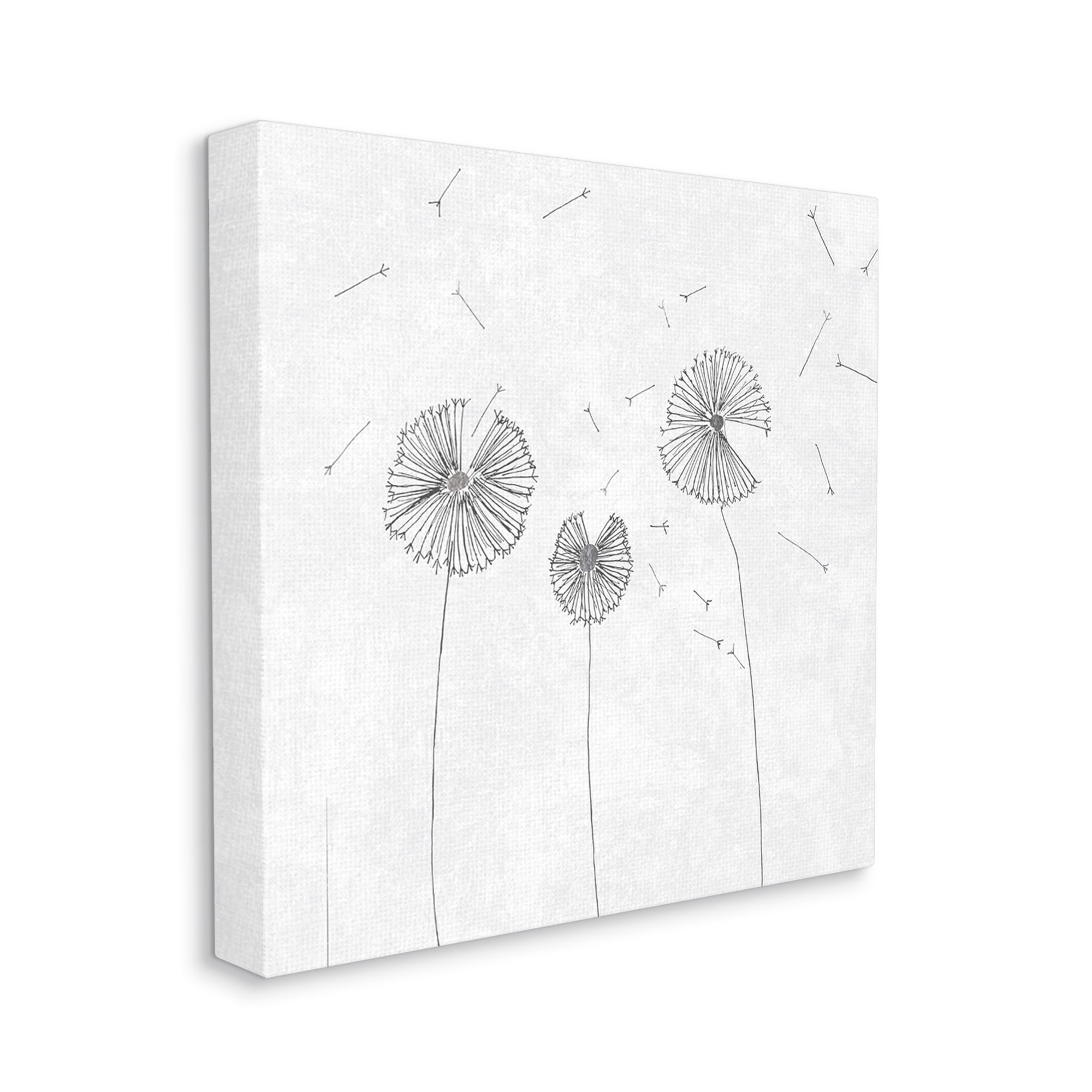 Stupell Industries Dandelion Florals Flying Seeds Flower Line Art Drawing,36 x 36, Design by Cloverfield & Co.