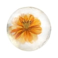 thumbnail image 1 of Ganfancp Jabón de Aminoaceite, Jabón Transparente, Jabón de Hierbas, Jabón Creativo de Manos, Jabón de Limpieza Facial, Jabón de Baño, Jabón Creativo de Flores 80G Ofertas Flash 1 Pastilla de Jabón, 1 of 1