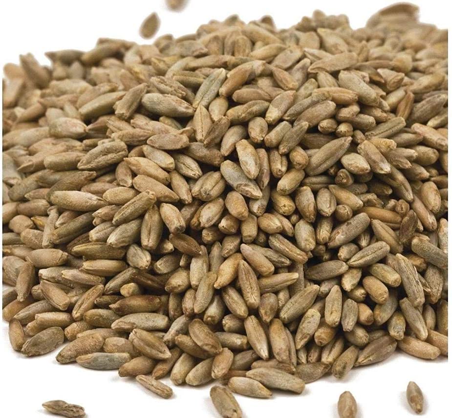 10 Lbs NoTill Winter Rye Cover Crop Seeds NonGMO Rye Grass Seed (10