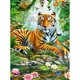 thumbnail image 1 of Diamond Painting (DE4660) 5D DIY Square Tiger Animal Punto de cruz (B981) 40x50cm Hugtrwg Para estrenar, 1 of 1