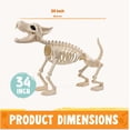 thumbnail image 4 of Joyfy 34" Wolf Halloween Skeleton with Red LED Eyes, Posable Plastic Animals Halloween Skeleton for Indoor Outdoor Halloween Decorations, 4 of 8