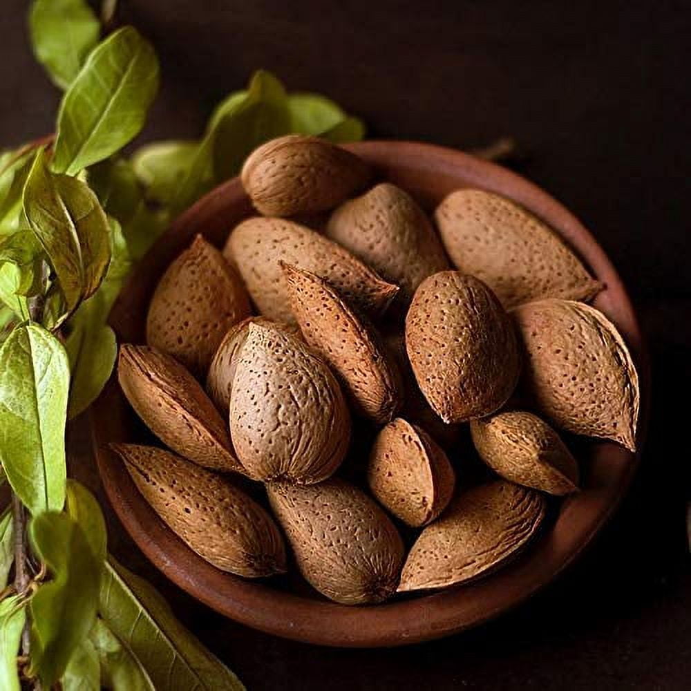 Anna and Sarah Almonds In Shell, Raw, Natural, Whole, Jumbo California Almonds, in Resealable Bag, 4 Lbs