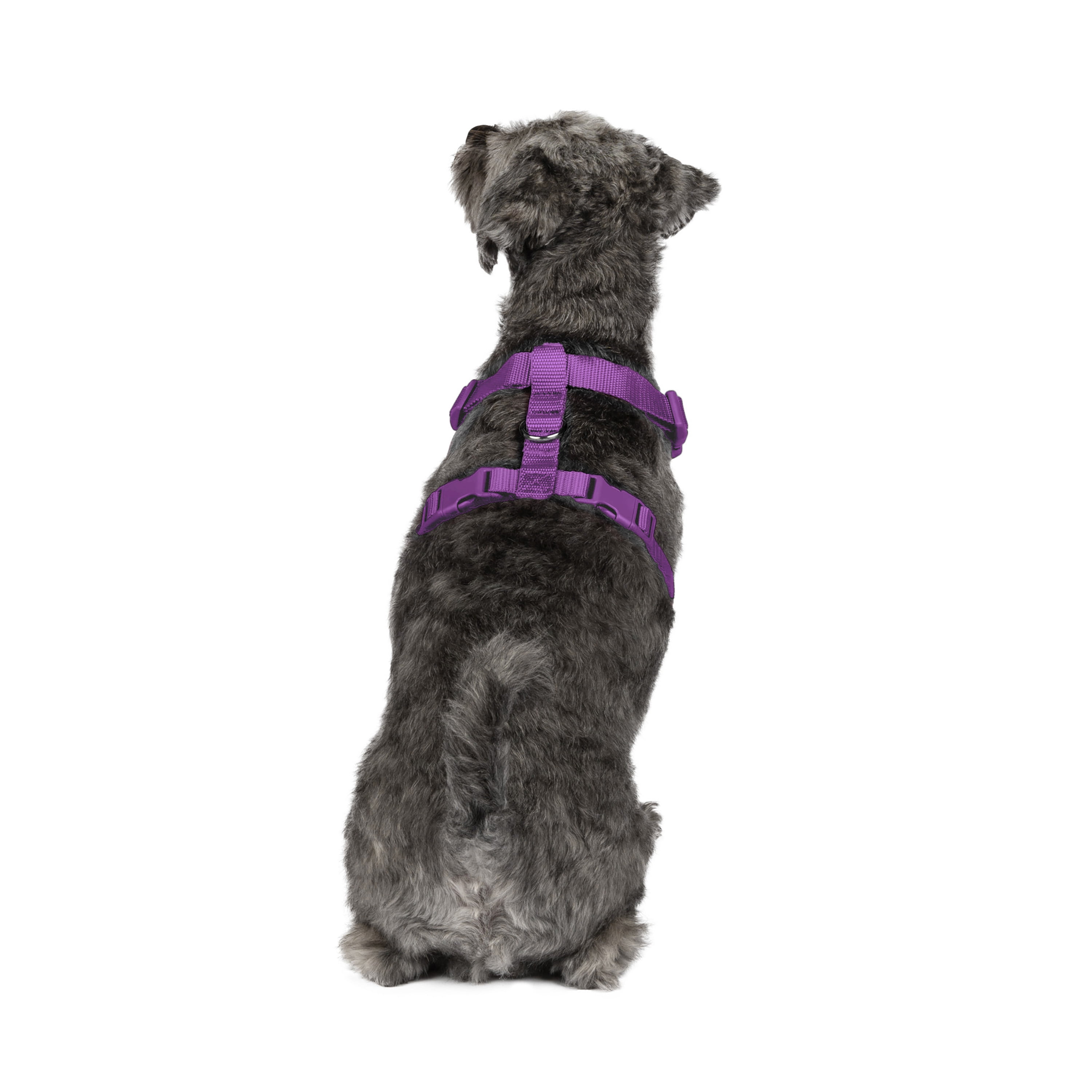 Vibrant Life Polyester Mesh Adjustable and Reflective Dog Walking Harness, Purple, S