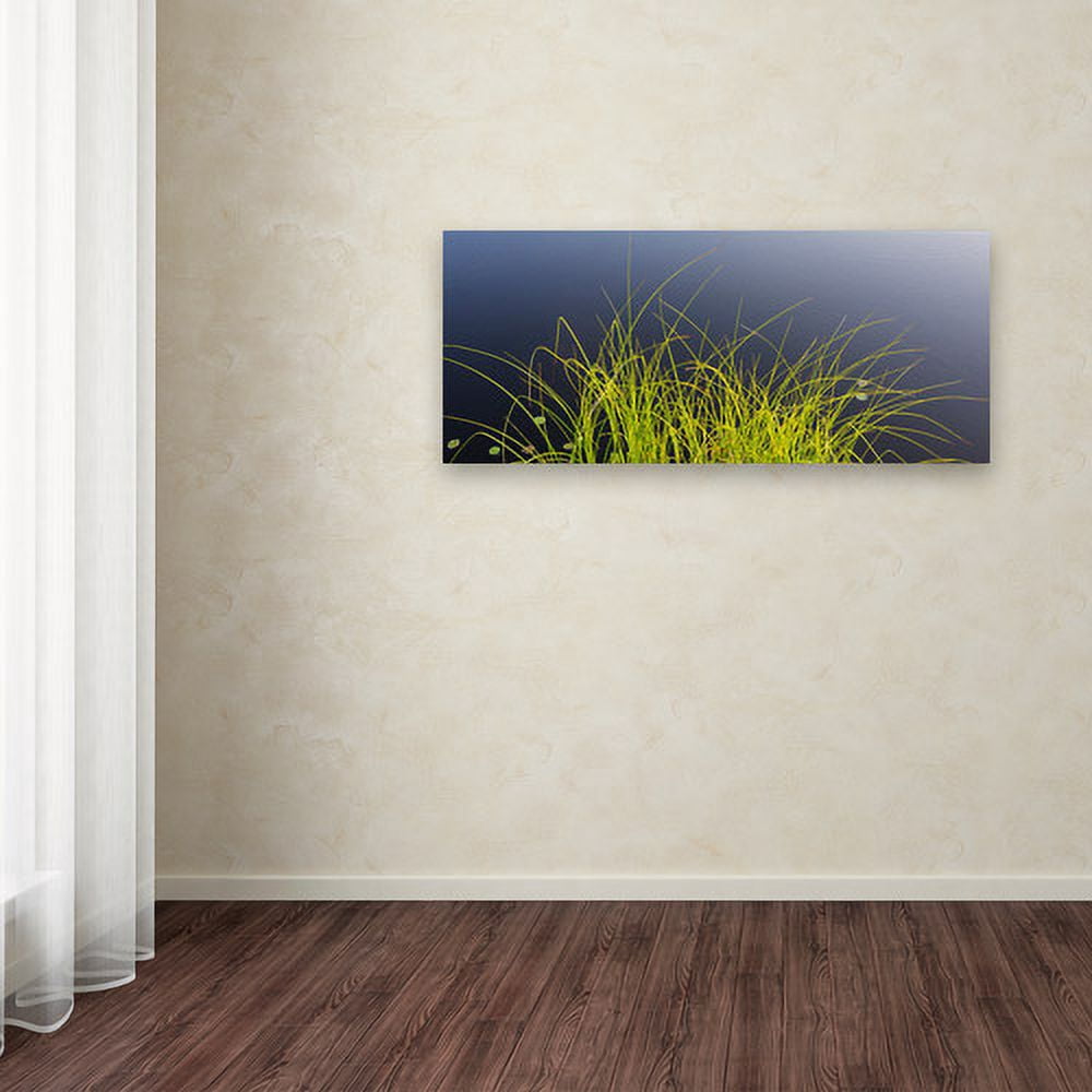 Trademark Fine Art "Pond Grass Abstract" Canvas Art by Kurt Shaffer