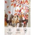 thumbnail image 6 of Sheer Curtains 96 inches Long, Fall Theme Funny Dog Pumpkin Maple Leaf Black White Plaid Light Filtering Sheer Window Curtains Rod Pocket Voile Drapes for Bedroom Living Room, 52"W x 96"L 2 Panels, 6 of 7