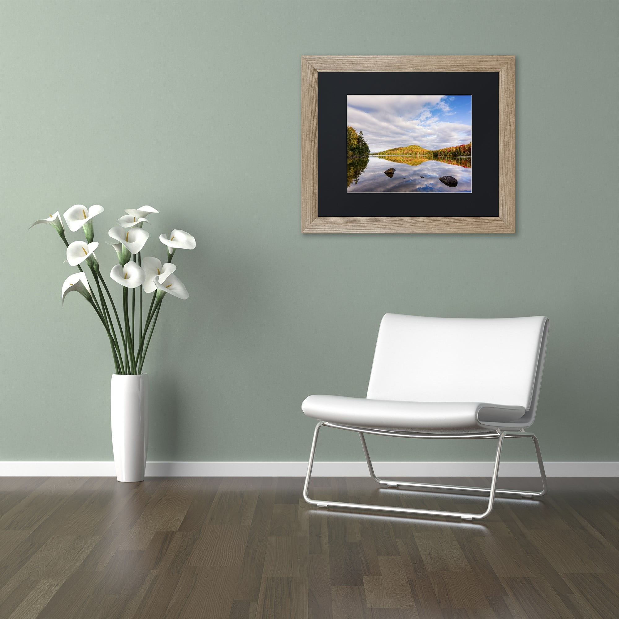 Trademark Fine Art "Placidity" Canvas Art by Michael Blanchette Photography Black Matte, Birch Frame