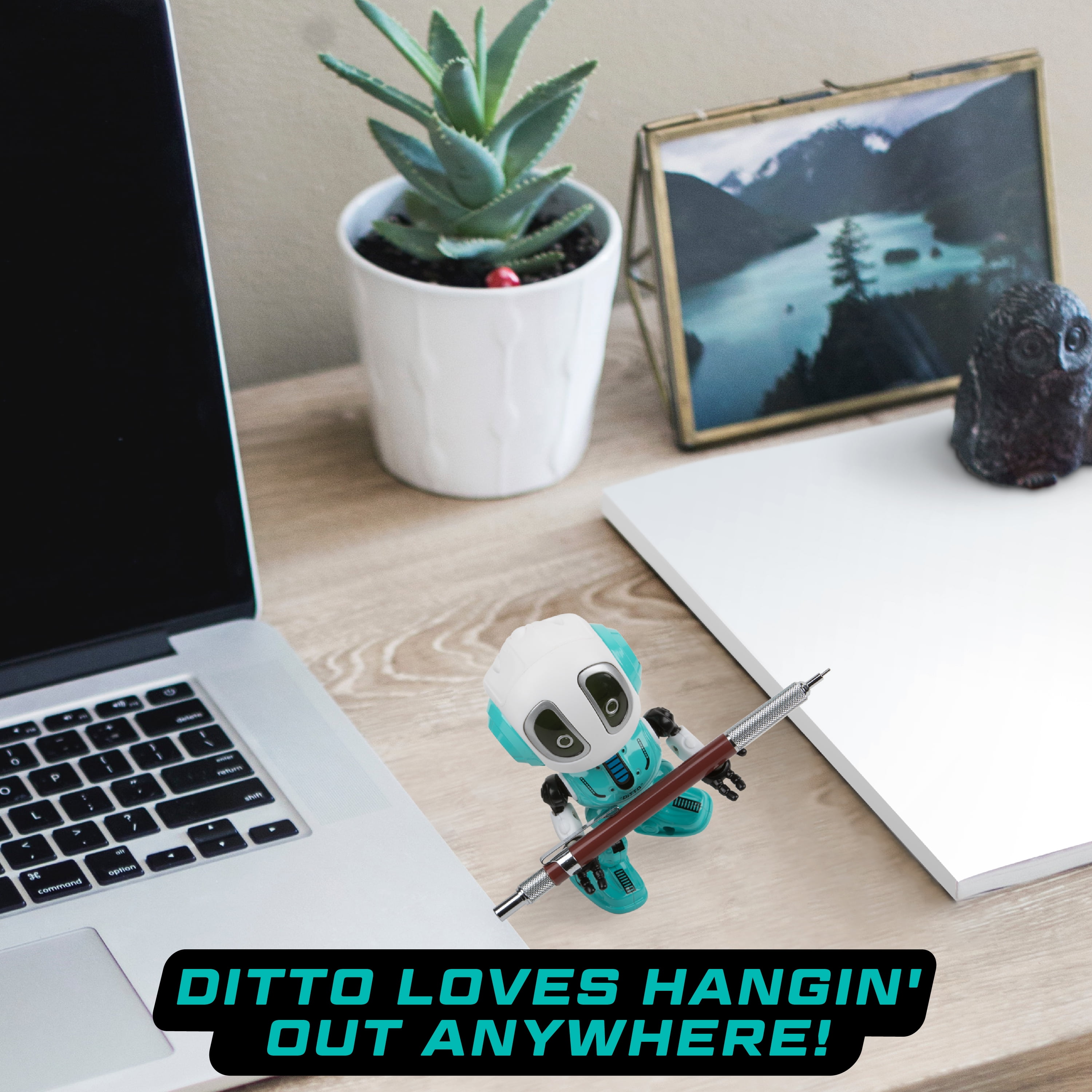 ditto talking robot