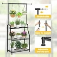 thumbnail image 5 of Plant Stand Indoor Outdoor, Heavy Duty Metal 3 Tiered Hanging Plant Shelf for Multiple Flower Planter Holder Tall Large Rack for Living Room Garden Balcony, Black, 5 of 6