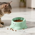thumbnail image 5 of Elevated Cat Food Bowl for Small Dog, Fat Faced Cat, Kitten, Ceramic Raised and Tilted Water Bowl, Anti Vomiting and Protect Pets' Dishes, 5 of 6