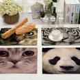 thumbnail image 4 of Mantel individual con estampado de animales en 3D, antideslizante, con aislamiento térmico, plato para cuenco, tenedor, tapete para mesa (MA0058-3), 4 of 4