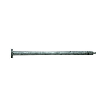 Pro-Fit 3 in. Common Hot-Dipped Galvanized Steel Nail Flat Head 1 lb