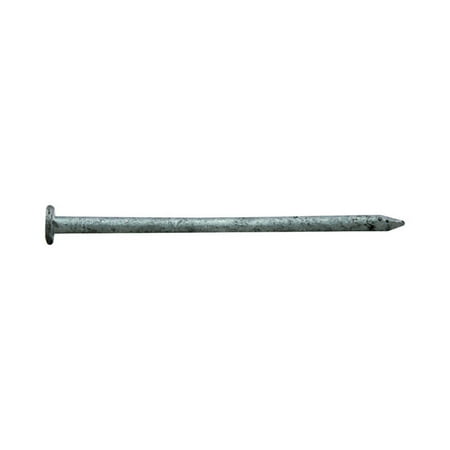 UPC 042928005019 product image for Pro-Fit 3 in. Common Hot-Dipped Galvanized Steel Nail Flat Head 1 lb | upcitemdb.com