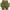 Army Green, variant on FAIWAD Solid Color Skorts for Women Lightweight Skirt with Athletic Inner Shorts for Tennis Golf Workout Sports