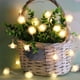 thumbnail image 5 of Luces de cuerda de flores 5ft 10 LED alimentadas por batería | Luces decorativas de cuerda Sakura Blossom | Tira de plástico blanco cálido para decoración de fiesta, patio, jardín, interior, exterior, 5 of 6