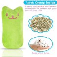 thumbnail image 2 of 10 piezas de juguete de peluche, juguete de hierba gatera, cojín de valeriana para gato, almohada interactiva para gatos, masticar y limpiar dientes, juguetes de interior para gatos y gatitos, 2 of 5