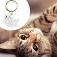 thumbnail image 2 of Porte-clés Collecteur de Poils de Chat Boîte de Rangement Commémorative, Souvenir de Poils d'Animaux, Porte-Clés Mignon Transparent pour Collecter les Poils de Chat, 2 of 8