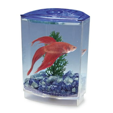 penn plax betta bow-front rectangular fish tank kit