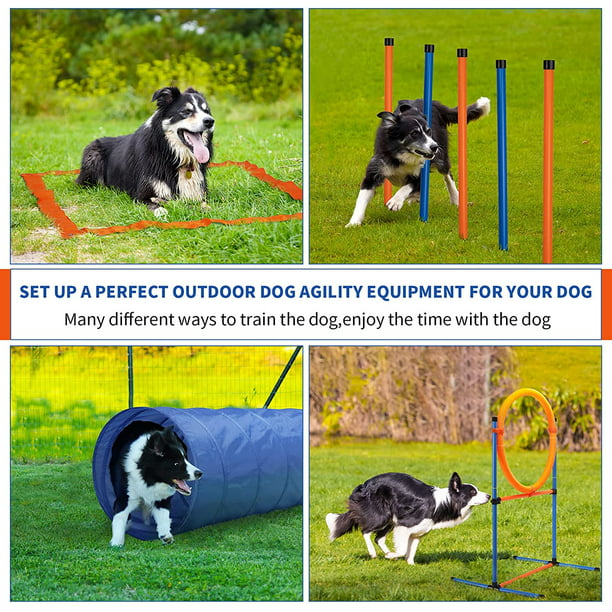 Dog Agility Training Equipment - 60 Piece Obstacle Course Training Starter Kit - Pet Outdoor Games with Weave Poles, Adjustable Hurdle, Jump Ring, Pause Box, Toys and Carrying Bag - Walmart.com