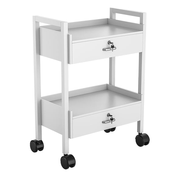 TTGIEET Salon Trolley Cart, Mobile Utility Cabinet with 2 Lockable Drawers, Rolling Storage Station Medical Esthetic Supply Holder for Beauty Spa, White