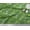 Forest Green, variant on Soimoi Pink Silk Fabric Brush Stroke & Speed Drive Text Decor Fabric Printed Yard 42 Inch Wide