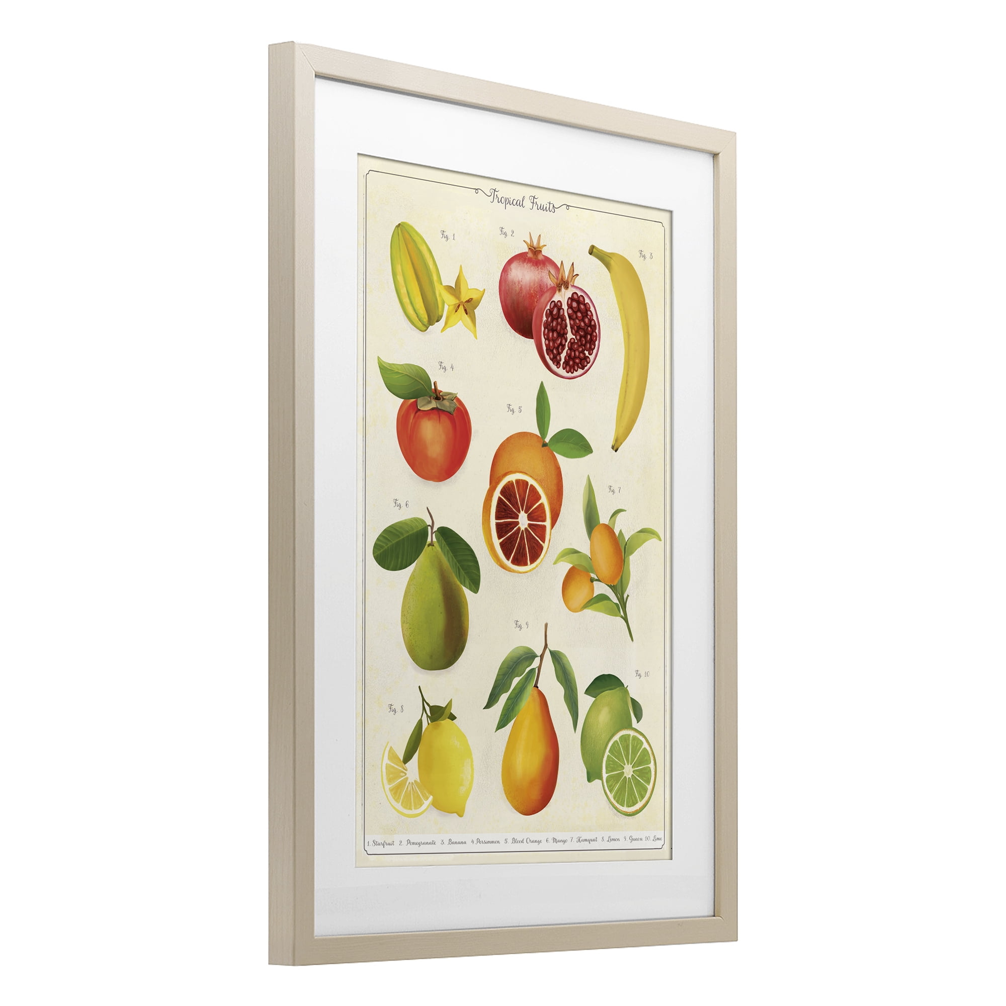 Stupell Industries Vintage Tropical Fruit Studies Birch Framed Print Under Glass, design by Diane Neukirch