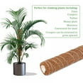 thumbnail image 6 of Coir Totem Pole Safe Plant Support Extension Coir Moss Stick Climbing Indoor, 6 of 7