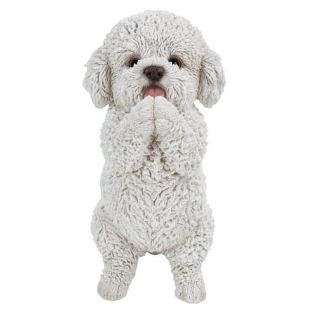 Playing Maltese Puppy