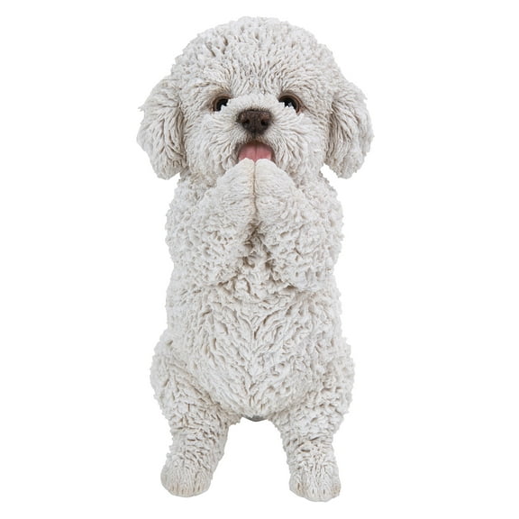 Playing Maltese Puppy