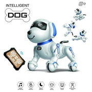 Dammyty Remote Control Robot Programmable Dog Toy,Interactive Smart Dancing Music Electronic Pets Robot Dog for Kids Birthday Christmas Gift