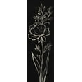 thumbnail image 2 of Vassileva, Silvia 13x32 White Modern Wood Framed Museum Art Print Titled - Black Floral III Crop, 2 of 4