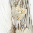 thumbnail image 6 of DecMode Farmhouse Dried Floral Natural Foliage Set of 2, 7"W x 56"H, with Brown, White and Beige Finish, 6 of 9