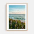 thumbnail image 2 of Flowers at Heisler Park, Laguna Beach - Laguna Beach California Photography Seascape Coast Ocean Beach Nature Scenic Flowers Unframed Wall Art Print 12 x 16 inches, 2 of 16