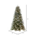 thumbnail image 3 of Vickerman 6.5' x 50" Frosted Douglas Fir Artificial Pre-Lit Christmas Tree, Warm White 3mm LED Lights., 3 of 6
