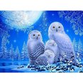 thumbnail image 2 of Cuadros Decorativos 5D DIY Diamond Painting Kits Full Round Drill Owl Mosaic Picture Craft (E1969) Tmvgtek embutido en tela, 2 of 8