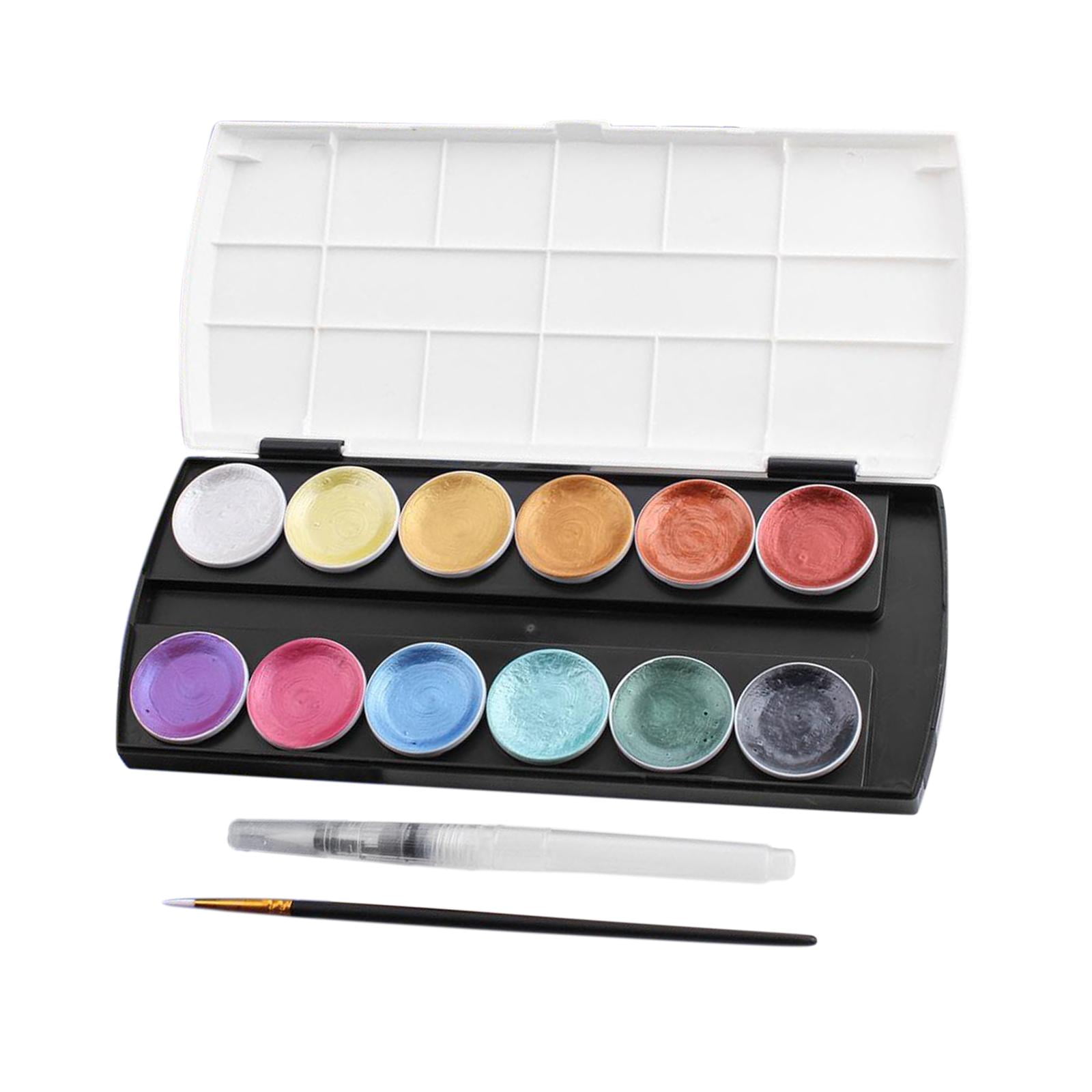 FVDPWYE Professional Watercolor Set 12 Colors Travel Pocket Paint Kit for Artist