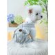 thumbnail image 4 of 1pc Pet Clothing For Dogs Four Leg Open Buckle Design X Style Suspenders Pants For Small And Medium Sized Dogs, New Arrival, 4 of 5