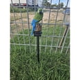thumbnail image 5 of ZOEYKIMLO Solar Outdoor Parrot Lights, Garden Solar light Decoration, Outdoor Solar Light Crafts Animal for Patio Garden Pathway Lanscape, Green, 2Pack, 5 of 9