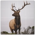 thumbnail image 1 of Picture-Tiles.com: Deer Ceramic Tile Wall Mural WAL500472-44M. 24"W x 24"H using (16) 6" x 6" Ceramic Tiles-Satin Finish, 1 of 3
