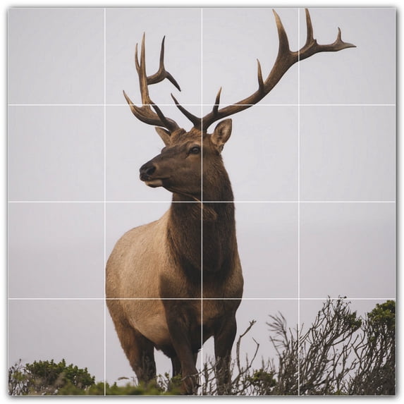 Picture-Tiles.com: Deer Ceramic Tile Wall Mural WAL500472-44M. 24"W x 24"H using (16) 6" x 6" Ceramic Tiles-Satin Finish